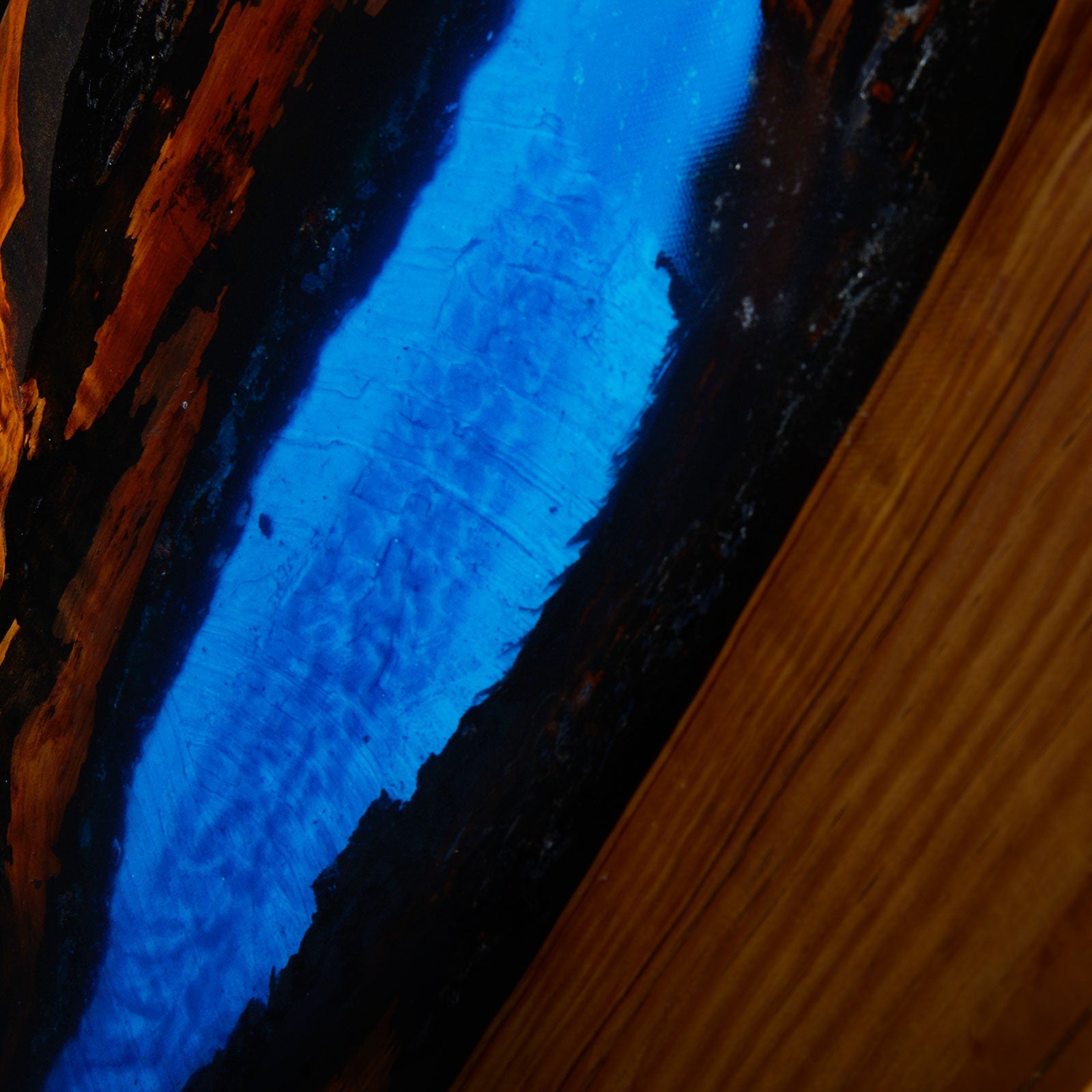 Carica Orologi Automatici - Cassaforte Custode Natura Selvaggia 8-Le Remontoir-3